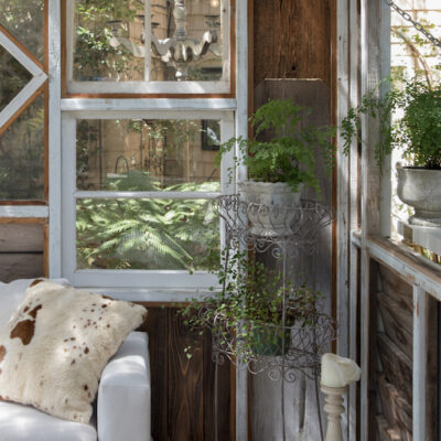 Best Indoor Plants for Your She Shed